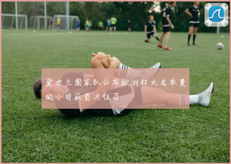 爱尔兰国家队公布欧洲杯大名单曼城小将获首次征召